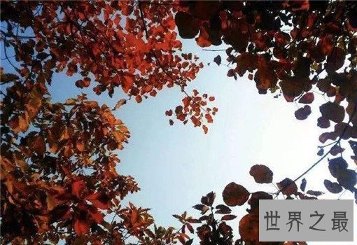 最新减压法TOP10，彻底缓解身体疲劳