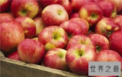 全球十大长寿食物排行榜，我们身边的灵丹妙药