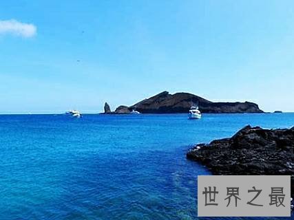全球十大海上冬日巡游目的地，带你领略不同的夏威夷风情。