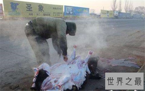 世界恶心的十大禁菜，残忍到令人头皮发麻(图胆小勿进)