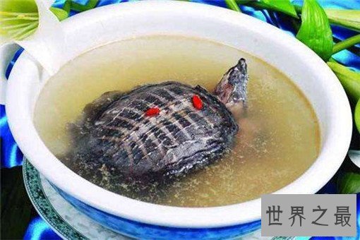 世界恶心的十大禁菜，残忍到令人头皮发麻(图胆小勿进)