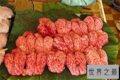 世界恶心的十大禁菜，残忍到令人头皮发麻(图胆小勿进)