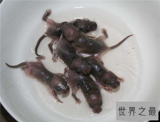 世界恶心的十大禁菜，残忍到令人头皮发麻(图胆小勿进)