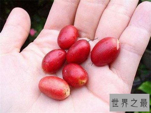 十大最难吃的水果，什么水果最难吃？