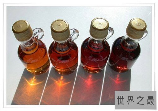 加拿大最正宗的十大美食，总有一款可以得到你的心