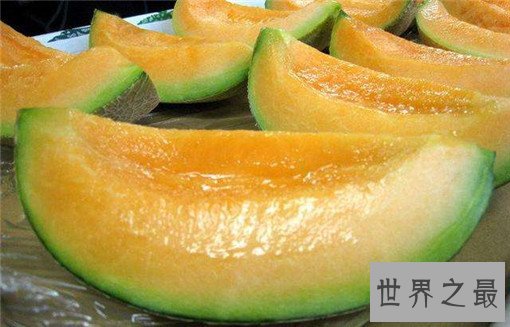 全球各地10大最顶级美食，盘点全球各地最顶级美食