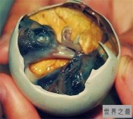 十大最恐怖零食，你敢吃发酵过的鲨鱼肉吗？