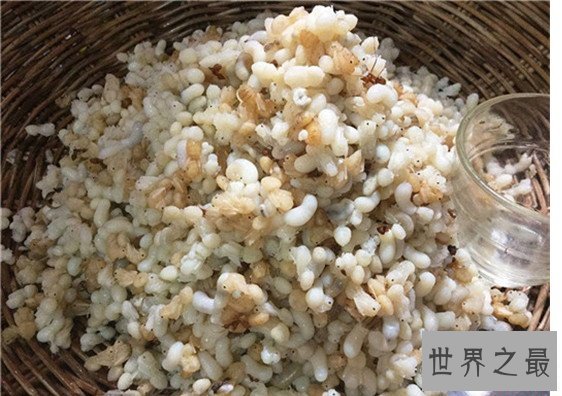 十大最恐怖零食，你敢吃发酵过的鲨鱼肉吗？