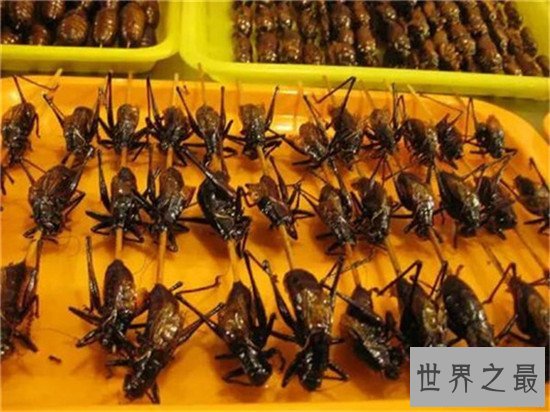 十大最恐怖零食，你敢吃发酵过的鲨鱼肉吗？