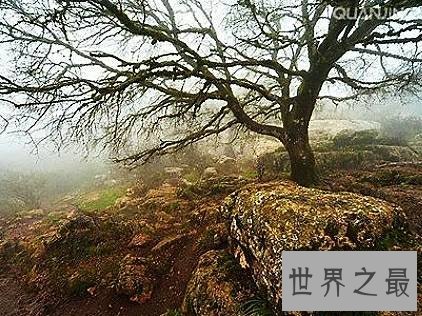 全球十大四季如春的旅游地，每一个都是天堂般的存在。