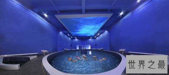 世界十大奇特水上景观,水上的生态见证了奇迹