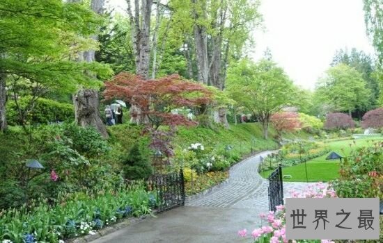世界最美丽十大花园，绝对不能错过的人间美景。