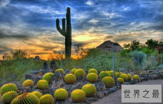 世界最美丽十大花园，绝对不能错过的人间美景。