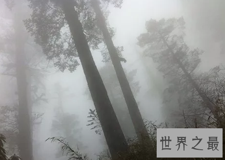 世界十大旅游禁地,美丽富饶的岛屿竟会吃人?