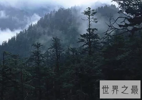 世界十大旅游禁地,美丽富饶的岛屿竟会吃人?