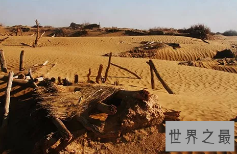 世界十大旅游禁地,美丽富饶的岛屿竟会吃人?