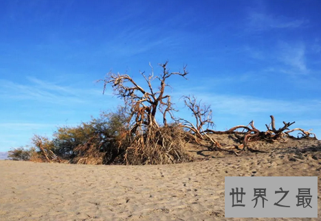 世界十大旅游禁地,美丽富饶的岛屿竟会吃人?