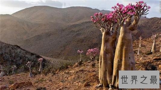 全球最古怪的14个地方,完全不符合常理的奇美景色