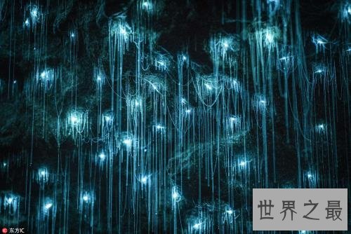 全球最古怪的14个地方,完全不符合常理的奇美景色