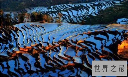 全球最美的十大梯田排行榜，人类的智慧令人惊叹