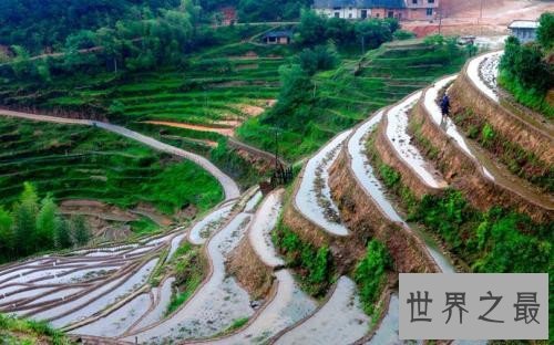 全球最美的十大梯田排行榜，人类的智慧令人惊叹