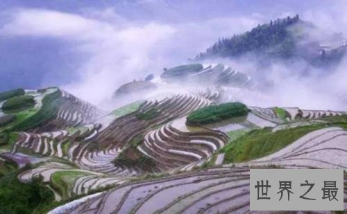 全球最美的十大梯田排行榜，人类的智慧令人惊叹