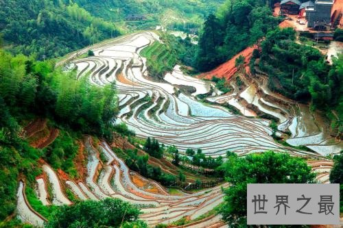 全球最美的十大梯田排行榜，人类的智慧令人惊叹