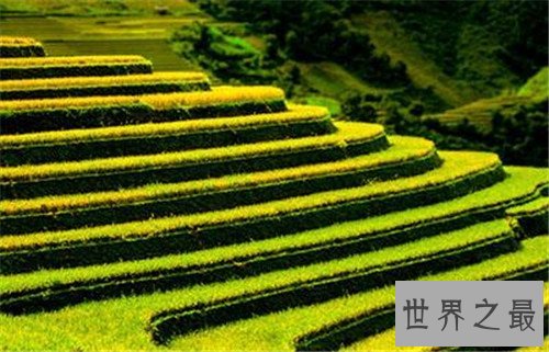 全球最美的十大梯田排行榜，人类的智慧令人惊叹