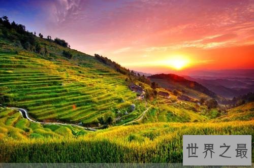 全球最美的十大梯田排行榜，人类的智慧令人惊叹