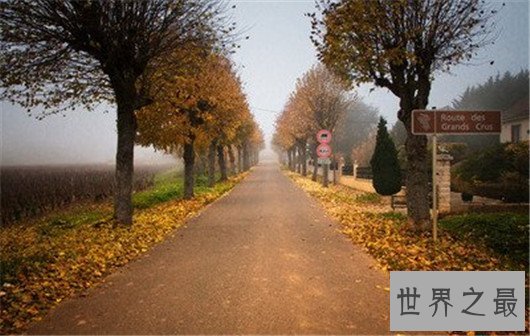 全球十大最美自行车道,旅途中也能享受美丽的风景