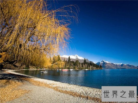 全球十大最奇特海滩，夜晚会发光的海滩你去过吗？