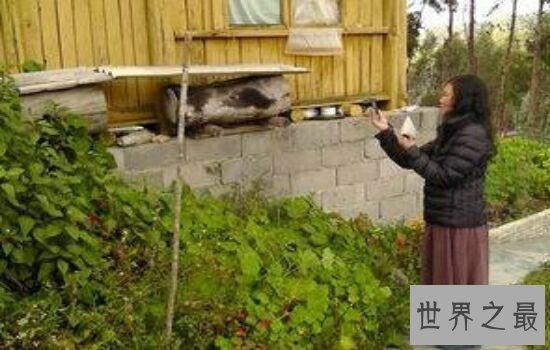 世界十大世外桃源排行榜，景色美得让人不可思议。