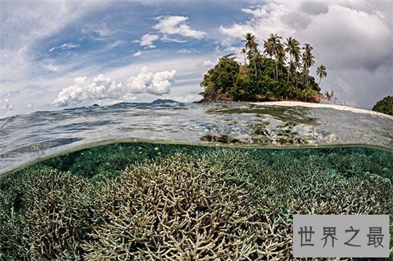 全球十大潜水度假胜地,抖音潜水小姐姐也在这里