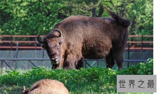 世界上罕为人知的十大遗产,古老的历史在呼唤着你