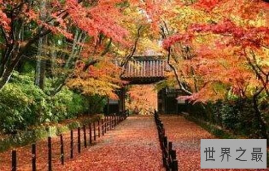 世界上十大最美小镇,绝对不能错过的人间绝色美景。