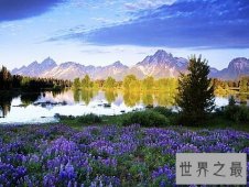 全球十大最美的薰衣草花田，秒杀所有所谓的网红拍照地。