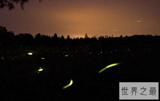 世界十大最美夜景赏玩地，让你爱上不同的夜晚。