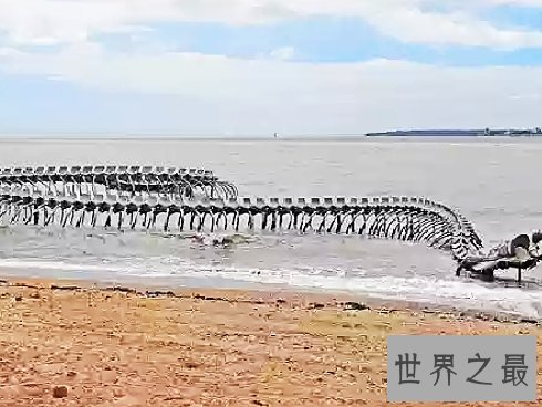 全球十大海滩雕塑排行榜，若隐若现的海蛇像活着的巨蟒一般。