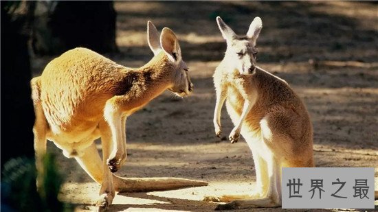 全球十大轻度探险地，探险爱好者们的福利到了！