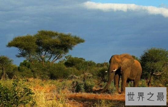 十大现实中的侏罗纪公园排行榜，恐龙主题公园位居榜首！