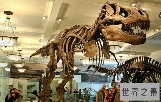 十大现实中的侏罗纪公园排行榜，恐龙主题公园位居榜首！