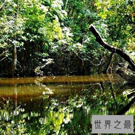 全球十大鬼斧神工的天然美景，每一个都如同天堂一般。