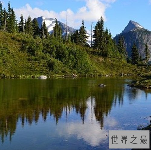 全球十大静美森林排行榜，奇特生长的树木别有一番美丽