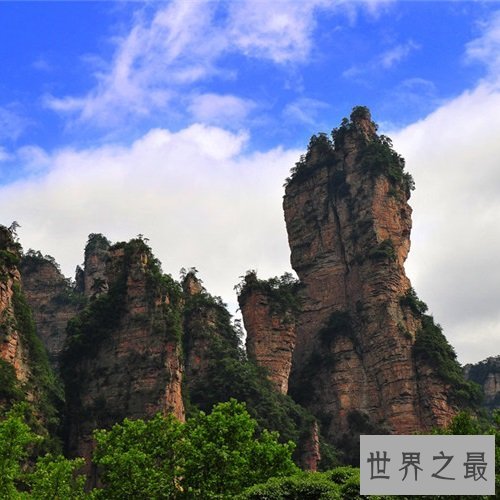 全球十大静美森林排行榜，奇特生长的树木别有一番美丽