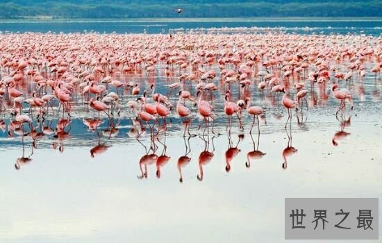 全球最美的十大人间仙境排行榜，西藏位于榜单榜首。