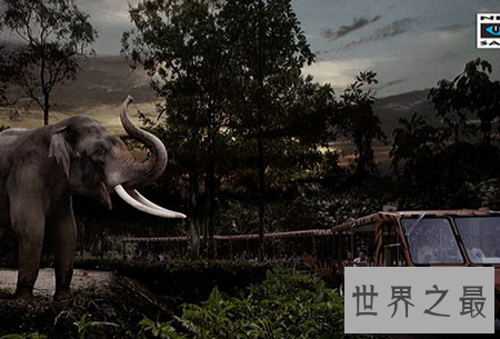 世界10大最美的夜景赏玩地，星空荧带音乐极光