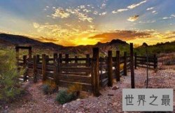 世界十大最美春色，春之女神经常光顾这些地方