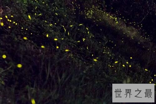 世界十大神秘自然现象，震惊世界诡异不可言