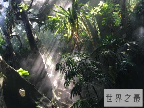 全球即将消失的十大美景，再不去看看将成为世界遗憾