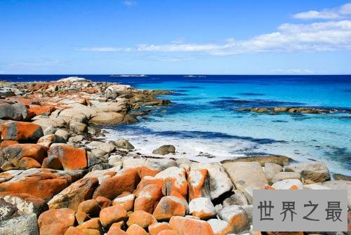 全球十大最佳自驾游路线，这些路让你领略世界的美丽